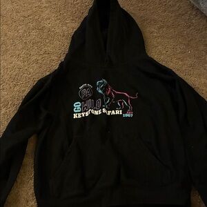 Black Hoodie with Colorful Lion Graphic